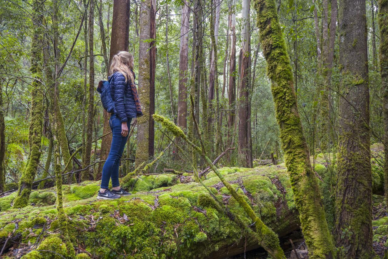 Yha Hobart Central Dış mekan fotoğraf
